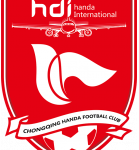 重庆瀚达队标